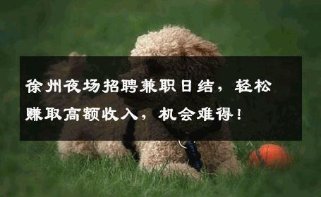 徐州夜场招聘兼职日结，轻松赚取高额收入，机会难得！