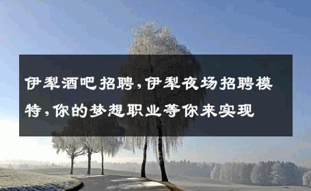 伊犁酒吧招聘,伊犁夜场招聘模特,你的梦想职业等你来实现