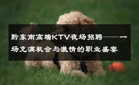 黔东南高端KTV夜场招聘——一场充满机会与激情的职业盛宴