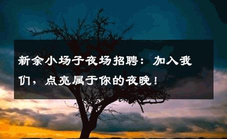 新余小场子夜场招聘：加入我们，点亮属于你的夜晚！