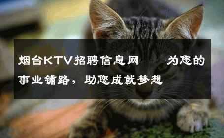 烟台KTV招聘信息网——为您的事业铺路，助您成就梦想