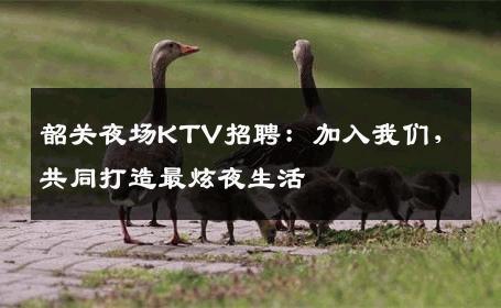 韶关夜场KTV招聘：加入我们，共同打造最炫夜生活