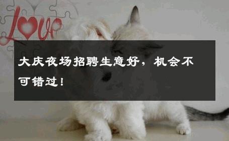 大庆夜场招聘生意好，机会不可错过！
