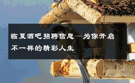 临夏酒吧招聘信息—为你开启不一样的精彩人生