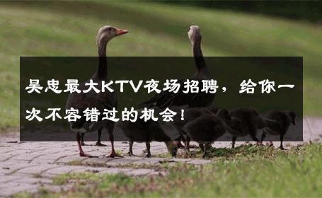吴忠最大KTV夜场招聘，给你一次不容错过的机会！
