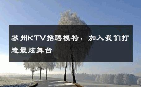 苏州KTV招聘模特，加入我们打造最炫舞台