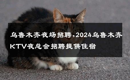 乌鲁木齐夜场招聘,2024乌鲁木齐KTV夜总会招聘提供住宿