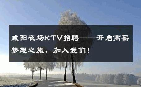 咸阳夜场KTV招聘——开启高薪梦想之旅，加入我们！
