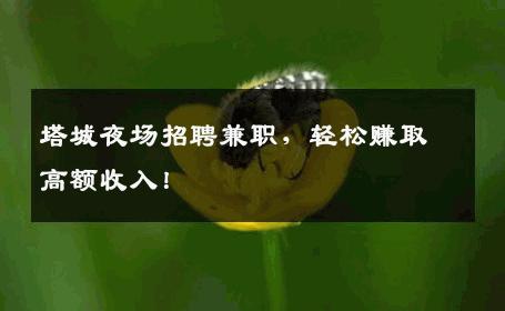 塔城夜场招聘兼职，轻松赚取高额收入！