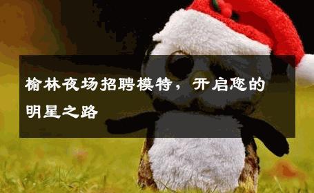 榆林夜场招聘模特，开启您的明星之路