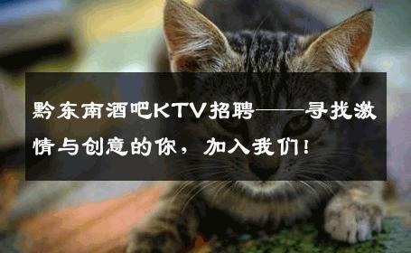 黔东南酒吧KTV招聘——寻找激情与创意的你，加入我们！