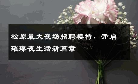松原最大夜场招聘模特，开启璀璨夜生活新篇章