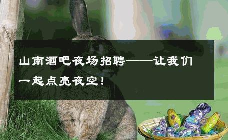 山南酒吧夜场招聘——让我们一起点亮夜空！