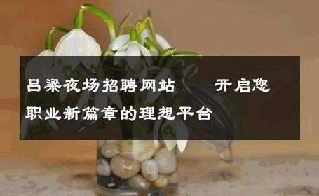 吕梁夜场招聘网站——开启您职业新篇章的理想平台