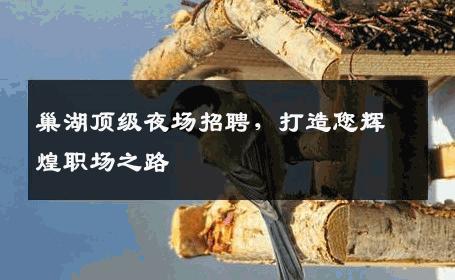 巢湖顶级夜场招聘，打造您辉煌职场之路