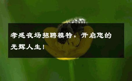 孝感夜场招聘模特，开启您的光辉人生！