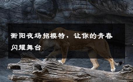 衡阳夜场招模特，让你的青春闪耀舞台