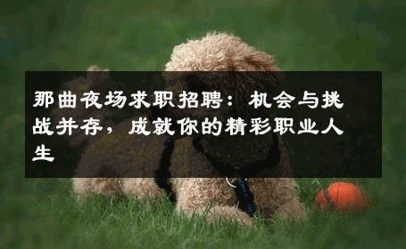 那曲夜场求职招聘：机会与挑战并存，成就你的精彩职业人生