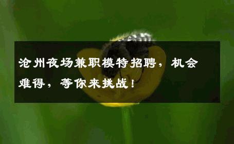 沧州夜场兼职模特招聘，机会难得，等你来挑战！