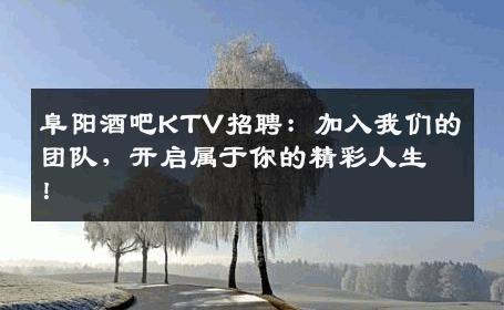 阜阳酒吧KTV招聘：加入我们的团队，开启属于你的精彩人生！