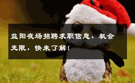 益阳夜场招聘求职信息，机会无限，快来了解！