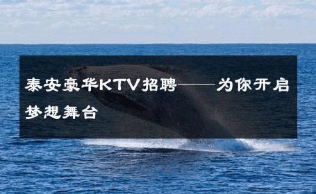 泰安豪华KTV招聘——为你开启梦想舞台