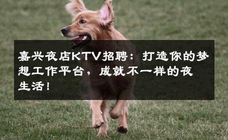 嘉兴夜店KTV招聘：打造你的梦想工作平台，成就不一样的夜生活！