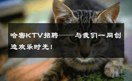 哈密KTV招聘——与我们一同创造欢乐时光！