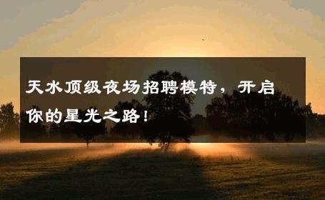 天水顶级夜场招聘模特，开启你的星光之路！