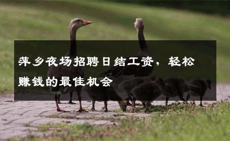 萍乡夜场招聘日结工资，轻松赚钱的最佳机会