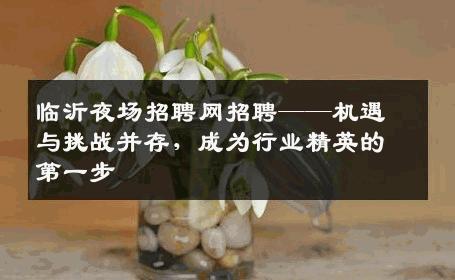 临沂夜场招聘网招聘——机遇与挑战并存，成为行业精英的第一步