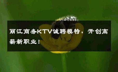 丽江商务KTV诚聘模特，开创高薪新职业！