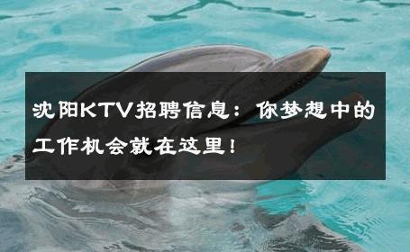 沈阳KTV招聘信息：你梦想中的工作机会就在这里！