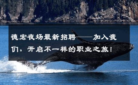 德宏夜场最新招聘——加入我们，开启不一样的职业之旅！