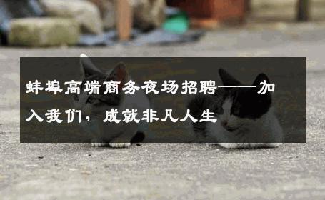 蚌埠高端商务夜场招聘——加入我们，成就非凡人生