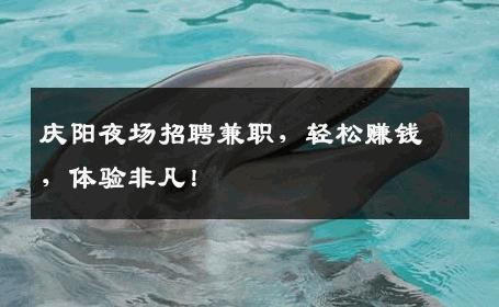 庆阳夜场招聘兼职，轻松赚钱，体验非凡！