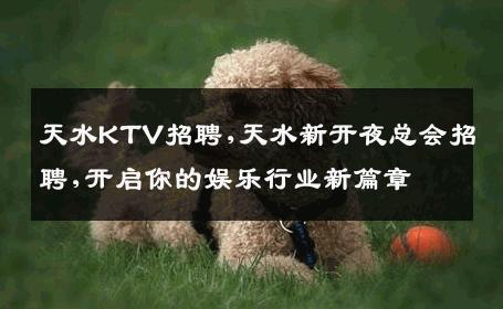 天水KTV招聘,天水新开夜总会招聘,开启你的娱乐行业新篇章