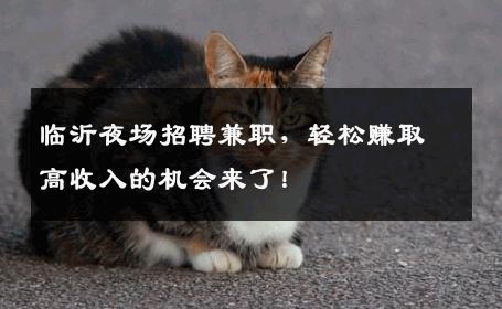 临沂夜场招聘兼职，轻松赚取高收入的机会来了！