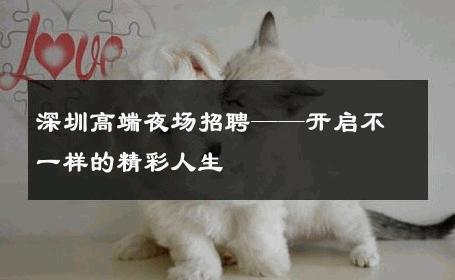 深圳高端夜场招聘——开启不一样的精彩人生