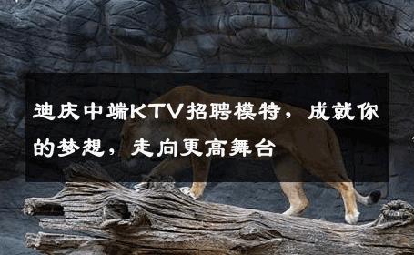 迪庆中端KTV招聘模特，成就你的梦想，走向更高舞台