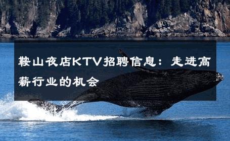 鞍山夜店KTV招聘信息：走进高薪行业的机会