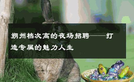 朔州档次高的夜场招聘——打造专属的魅力人生