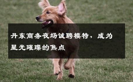 丹东商务夜场诚聘模特，成为星光璀璨的焦点