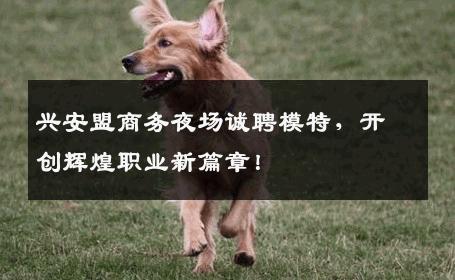 兴安盟商务夜场诚聘模特，开创辉煌职业新篇章！