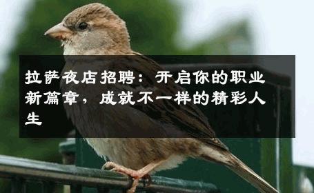 拉萨夜店招聘：开启你的职业新篇章，成就不一样的精彩人生