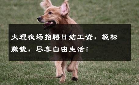 大理夜场招聘日结工资，轻松赚钱，尽享自由生活！