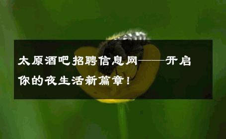 太原酒吧招聘信息网——开启你的夜生活新篇章！