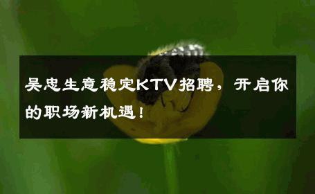 吴忠生意稳定KTV招聘，开启你的职场新机遇！