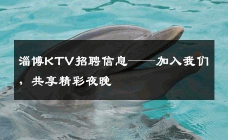 淄博KTV招聘信息——加入我们，共享精彩夜晚