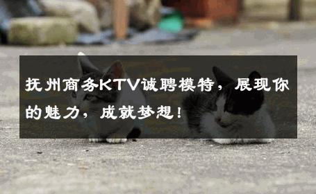 抚州商务KTV诚聘模特，展现你的魅力，成就梦想！